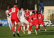 21.Spieltag ZFC Meuselwitz - BFC Dynamo