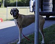Trainingslager 04.07.2018