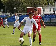 BFC Dynamo U19 - Berliner AK U19