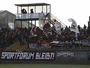 35.Spieltag BFC Dynamo - Tennis Borussia Berlin,