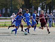7.Spieltag BFC Dynamo U19 - VSG Altglienicke U19,