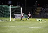 24.Spieltag BFC Dynamo - ZFC Meuselwitz,