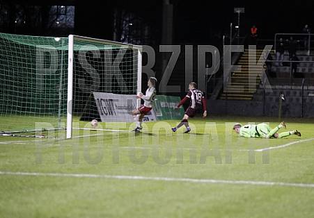 24.Spieltag BFC Dynamo - ZFC Meuselwitz,