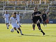 8.Spieltag BFC Dynamo U19 - FC Energie Cottbus U19 ,