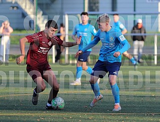 9.Spieltag BFC Dynamo U19 - Chemnitzer FC U19