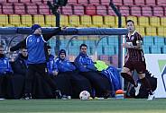 19.Spieltag BFC Dynamo - Bischofswerdaer FV08