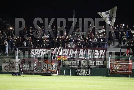 11.Spieltag BFC Dynamo - VfB Germania Halberstadt