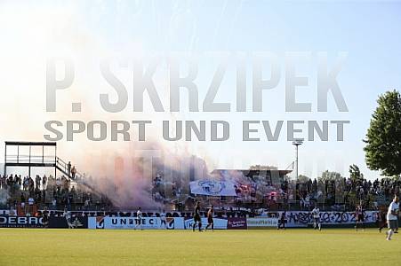 BFC Dynamo - BFC Dynamo Allstars Team, BFC Dynamo - BFC Dynamo Allstars Team,