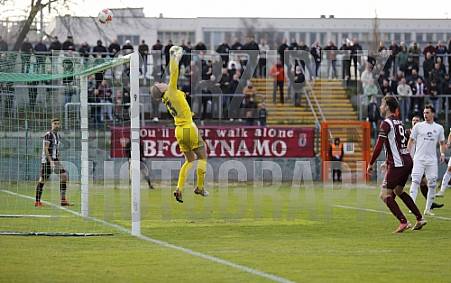 35.Spieltag BFC Dynamo - Tennis Borussia Berlin,