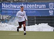 Testspiel SV Babelsberg 03 - BFC Dynamo