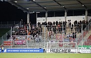 17.Spieltag FSV Zwickau - BFC Dynamo