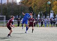 7.Spieltag BFC Dynamo U19 - VSG Altglienicke U19,