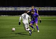 Testspiel BSV Eintracht Mahlsdorf - BFC Dynamo