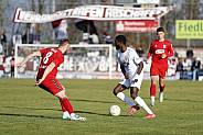 20.Spieltag ZFC Meuselwitz - BFC Dynamo