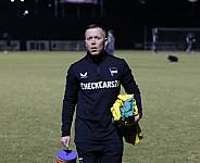 24.Spieltag BFC Dynamo - Hertha BSC II