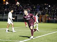 10.Spieltag BFC Dynamo - SV Babelsberg 03