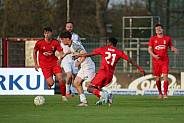 21.Spieltag ZFC Meuselwitz - BFC Dynamo
