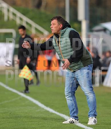 35.Spieltag BFC Dynamo - Tennis Borussia Berlin,