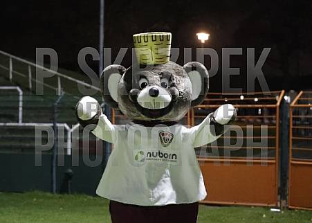 14.Spieltag BFC Dynamo - FC Viktoria 1889 Berlin