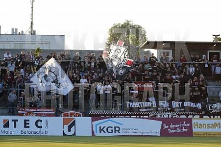 BFC Dynamo - BFC Dynamo Allstars Team, BFC Dynamo - BFC Dynamo Allstars Team,