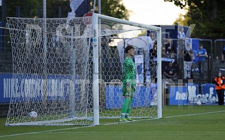 33.Spieltag Hertha BSC II - BFC Dynamo