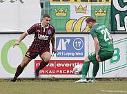 17.Spieltag BSG Chemie Leipzig - BFC Dynamo