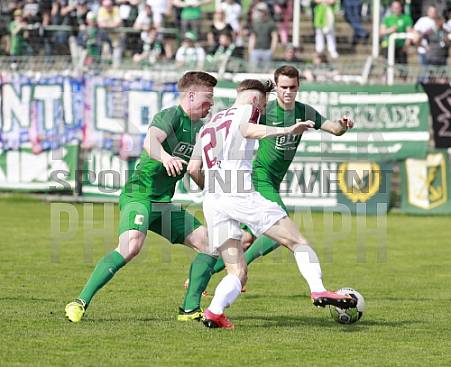 29.Spieltag BSG Chemie Leipzig - BFC Dynamo