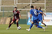 6.Spieltag BFC Dynamo -  F.C. Hertha 03 Zehlendorf