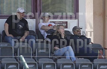 24.Spieltag BFC Dynamo U19 - Hallescher FC U19, 24.Spieltag BFC Dynamo U19 - Hallescher FC U19,