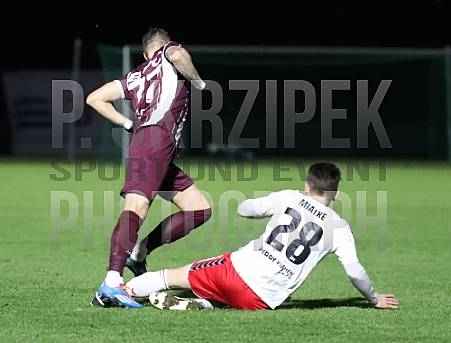 24.Spieltag BFC Dynamo - ZFC Meuselwitz,