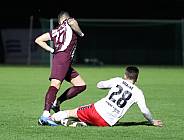 24.Spieltag BFC Dynamo - ZFC Meuselwitz,