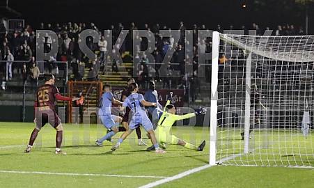 12.Spieltag BFC Dynamo - FC Viktoria 1889 Berlin