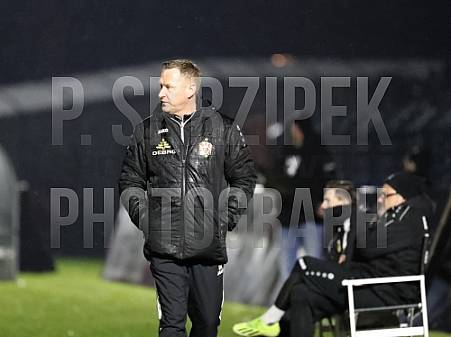 24.Spieltag BFC Dynamo - Greifswalder FC