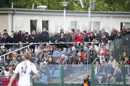 32.Spieltag BFC Dynamo - SV Babelsberg 03 ,