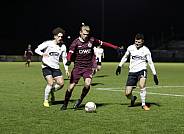 18.Spieltag BFC Dynamo - ZFC Meuselwitz,