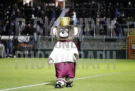 16.Spieltag BFC Dynamo -  Hertha BSC II