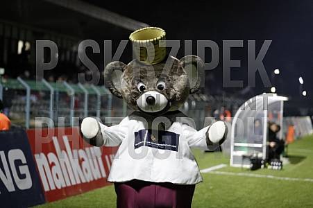 21. Spieltag BFC Dynamo - BSG Chemie Leipzig