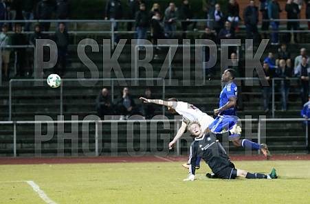 23.Spieltag TSG Neustrelitz - BFC Dynamo