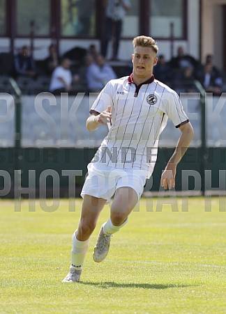 24.Spieltag BFC Dynamo U19 - Hallescher FC U19,
