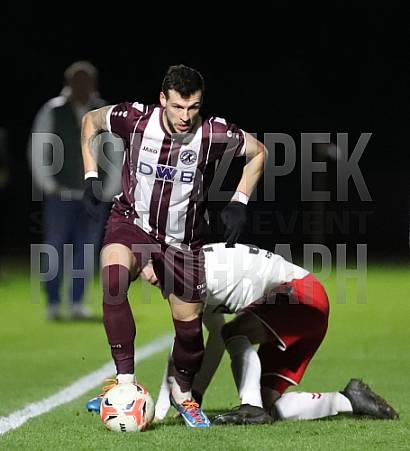 24.Spieltag BFC Dynamo - ZFC Meuselwitz,