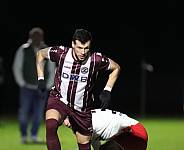 24.Spieltag BFC Dynamo - ZFC Meuselwitz,