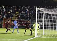 12.Spieltag BFC Dynamo - FC Viktoria 1889 Berlin