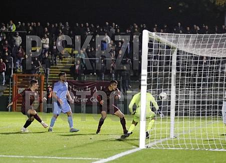 12.Spieltag BFC Dynamo - FC Viktoria 1889 Berlin
