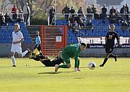 8.Spieltag BFC Dynamo U19 - FC Energie Cottbus U19 ,