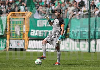 33.Spieltag BSG Chemie Leipzig - BFC Dynamo