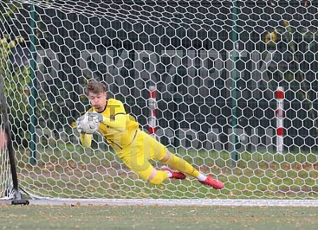 3.Spieltag BFC Dynamo U19 - SV Babelsberg 03 U19