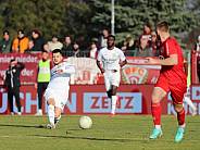 20.Spieltag ZFC Meuselwitz - BFC Dynamo
