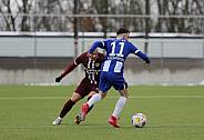 Testspiel Hertha BSC II - BFC Dynamo
