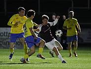 16.Spieltag BFC Dynamo - FSV 63 Luckenwalde
