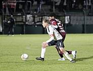 18.Spieltag BFC Dynamo - ZFC Meuselwitz,